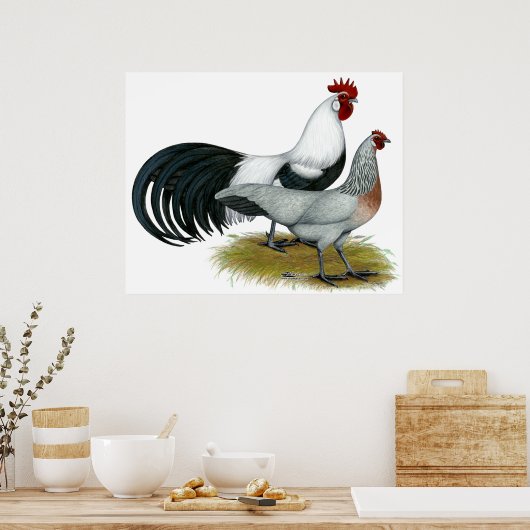 Phoenix: Silver Duckwing Pair Poster (Keuken)