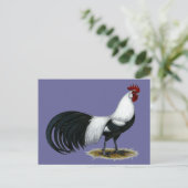 Phoenix:  Silver Duckwing Rooster Briefkaart (Staand voorkant)