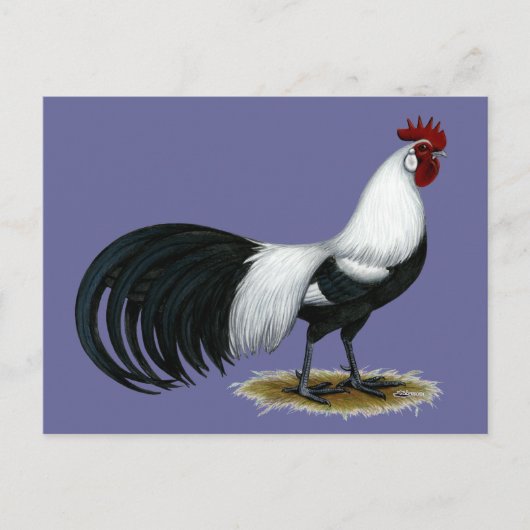 Phoenix:  Silver Duckwing Rooster Briefkaart (Voorkant)