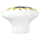 Phoenix Star Ceramic Knob. Keramische Knop (Zijkant)