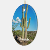 Phoenix, Tucson, Mesa, Scottsdale, Goodyear Keramisch Ornament (Links)