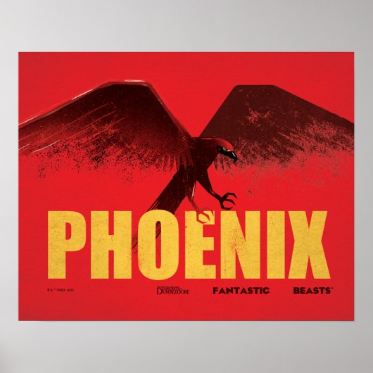 Phoenix Vingate Graphic Poster (Voorkant)