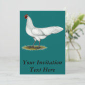 Phoenix: White Hen Kaart (Staand voorkant)
