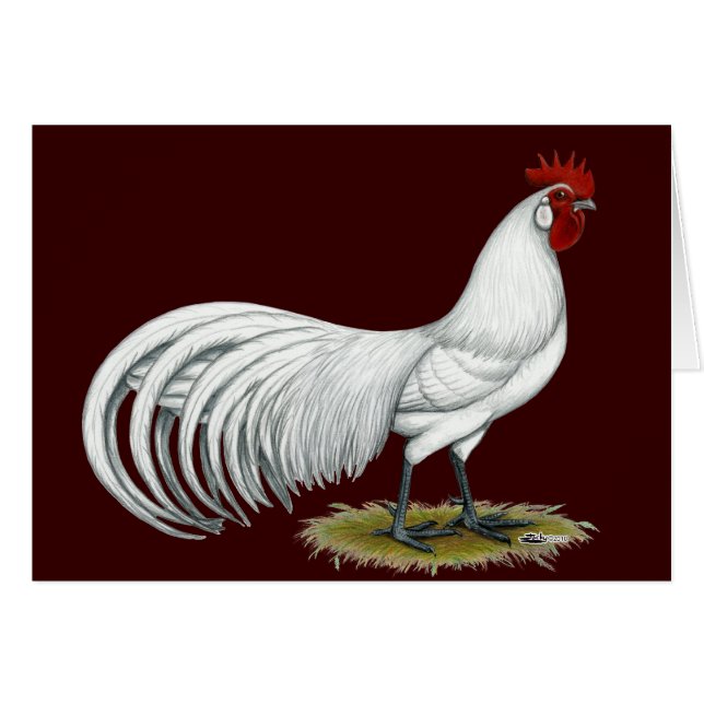 Phoenix: Witte rooster (Voorkant Horizontaal)