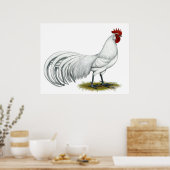 Phoenix: Witte rooster Poster (Keuken)