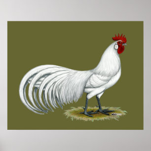 Phoenix: Witte rooster Poster