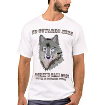 Phoenix's Call T-Shirt