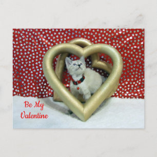 Phoenix's Love - Cat / Kitten Valentijn Briefkaart