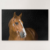 Photo Brown White Quarter Horse Black Legpuzzel (Horizontaal)