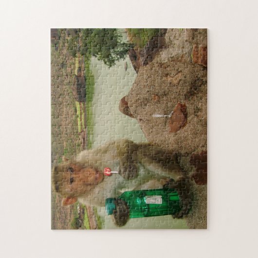 Photo Call-Monkey Badami India Legpuzzel (Verticaal)