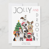 Photo Christmas Tree Funny Pet Feestdagenkaart (Voorkant)