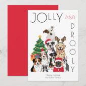 Photo Christmas Tree Funny Pet Feestdagenkaart (Voorkant / Achterkant)