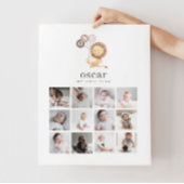 Photo Collage Poster - Lion with 3 Brown Balloons