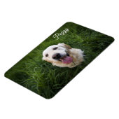 Photo Dog Naam toevoegen Easy Sjabloon Pet Puppy Magneet (Linkerzijde)