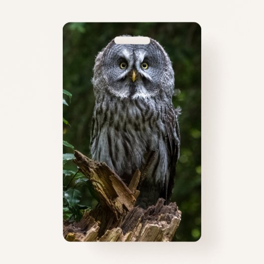 Photo Enlargement Badge (Voorkant)