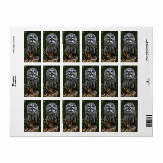 Photo Enlargement Etiket (Full Sheet)