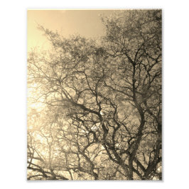 Photo Enlargement Foto Afdruk