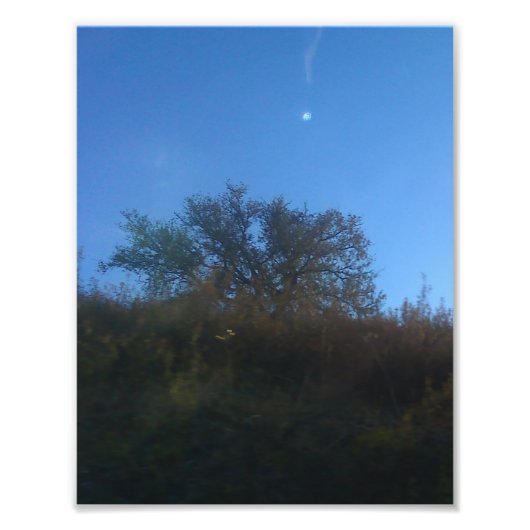 Photo Enlargement Foto Afdruk (Voorkant)