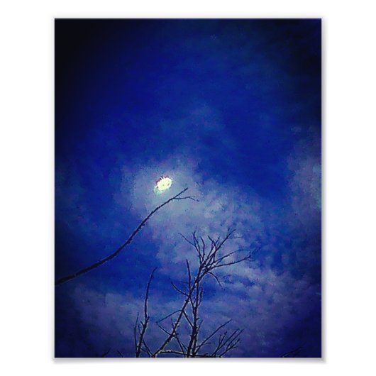 Photo Enlargement Foto Afdruk (Voorkant)