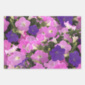 Photo Image Of Morning Glory Pink & Purple Flowers Inpakpapier Vel (Voorkant)
