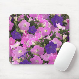 Photo Image Of Morning Glory Pink & Purple Flowers Muismat