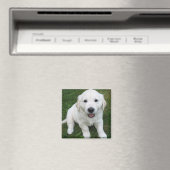 Photo Modern Simple Custom Cute Pet Magneet (Insitu (Vaatwasser))