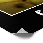 Photo of a Bushel Of Ripening Apples Poster (Hoek)