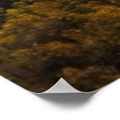 photo of a mountainous autumn forest, mountains, p poster (Hoek)