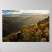 photo of a mountainous autumn forest, mountains, p poster (Voorkant)