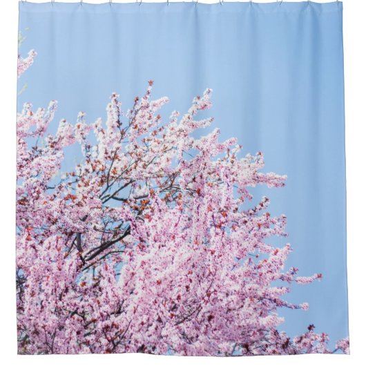 PHOTO OF CHERRY BLOSSOM TREE DOUCHEGORDIJN (Voorkant)