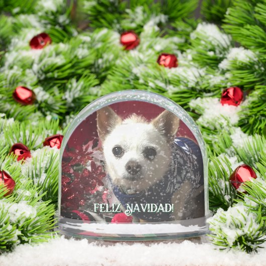 Photo pet child family baby vacation Snow Globe Sneeuwbol (Kerstmis)