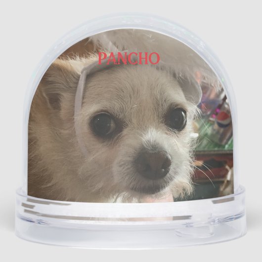 Photo pet child family baby vacation Snow Globe Sneeuwbol (Achterkant)