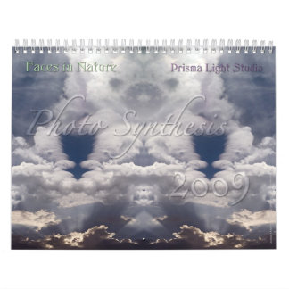 Photo Synthesis Calendar 2009 Kalender