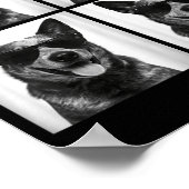 Photobooth Australische veehond Grappige hond self Poster (Hoek)