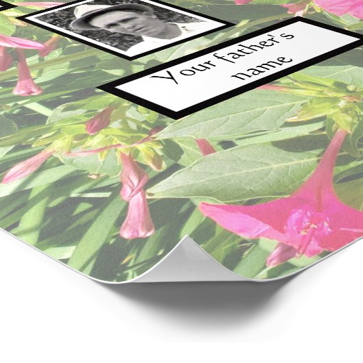  PhotoFamily Tree 3 Generation Pink Four O'clock's Poster (Hoek)