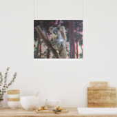 Photogenic Koala Poses For the Camera in 3D Poster (Keuken)