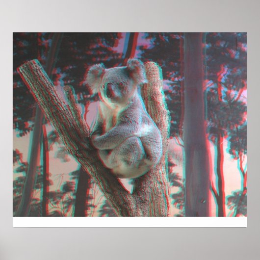 Photogenic Koala Poses For the Camera in 3D Poster (Voorkant)