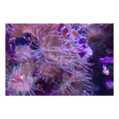 Photograph #Y008 on EXTRA LARGE Poster (Voorkant)