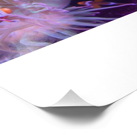 Photograph #Y008 on LARGE Photograph Foto Afdruk (Hoek)