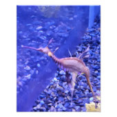 Photograph #Y040 on MEDIUM SIZE Poster (Voorkant)