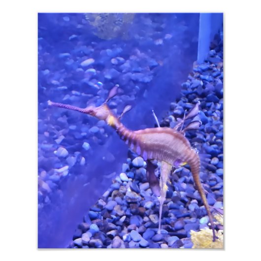 Photograph #Y040 on MEDIUM SIZE Poster (Voorkant)