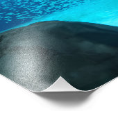 Photograph #Y043 on MEDIUM SIZE Poster (Hoek)