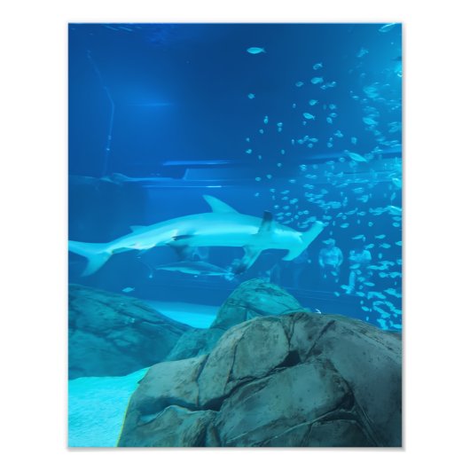 Photograph #Y044 on MEDIUM SIZE Poster (Voorkant)