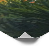 Photographic Landscape Art Edited (Better Quality) Poster (Hoek)