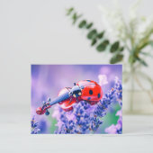 Photorealistic Ladybug Playing Violin on Lavender Briefkaart (Staand voorkant)