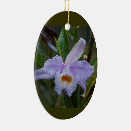 Photos Keramisch Ornament (Rechts)