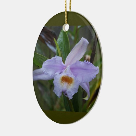 Photos Keramisch Ornament (Links)