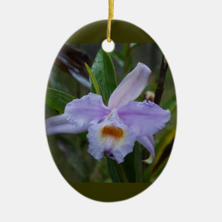 Photos Keramisch Ornament