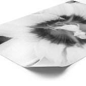 Photoshop Print Lily Foto Afdruk (Hoek)