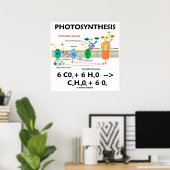 Photosynthesis (Light-Dependent) Chemical Equation Poster (Thuiskantoor)